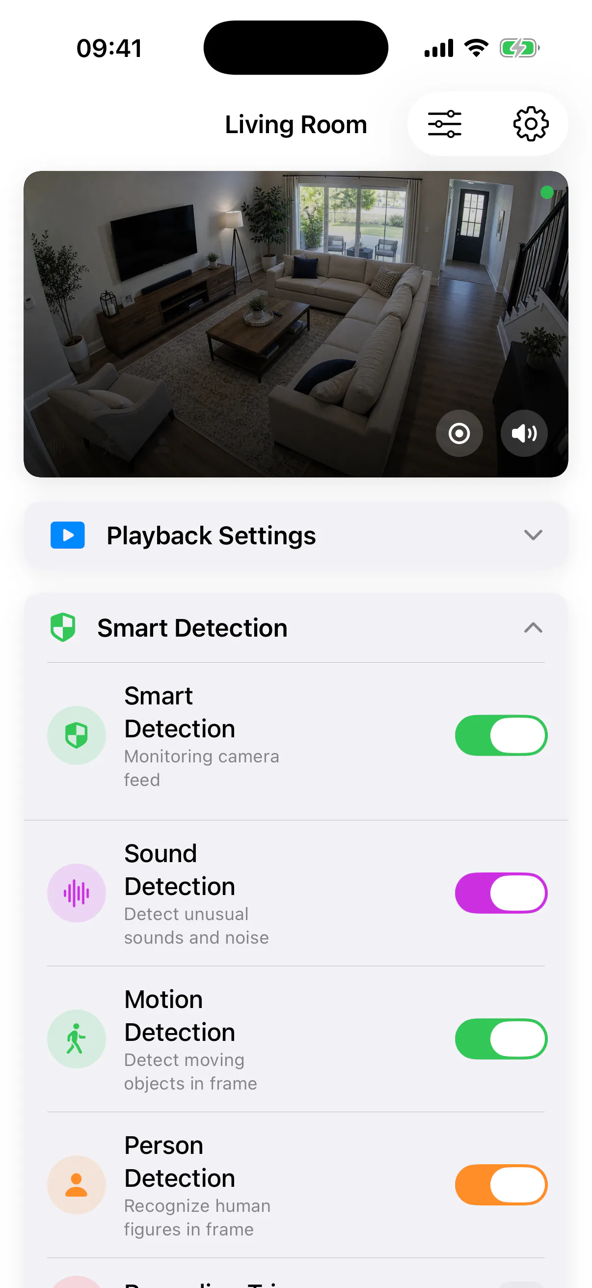SmartRTSP smart detection settings
